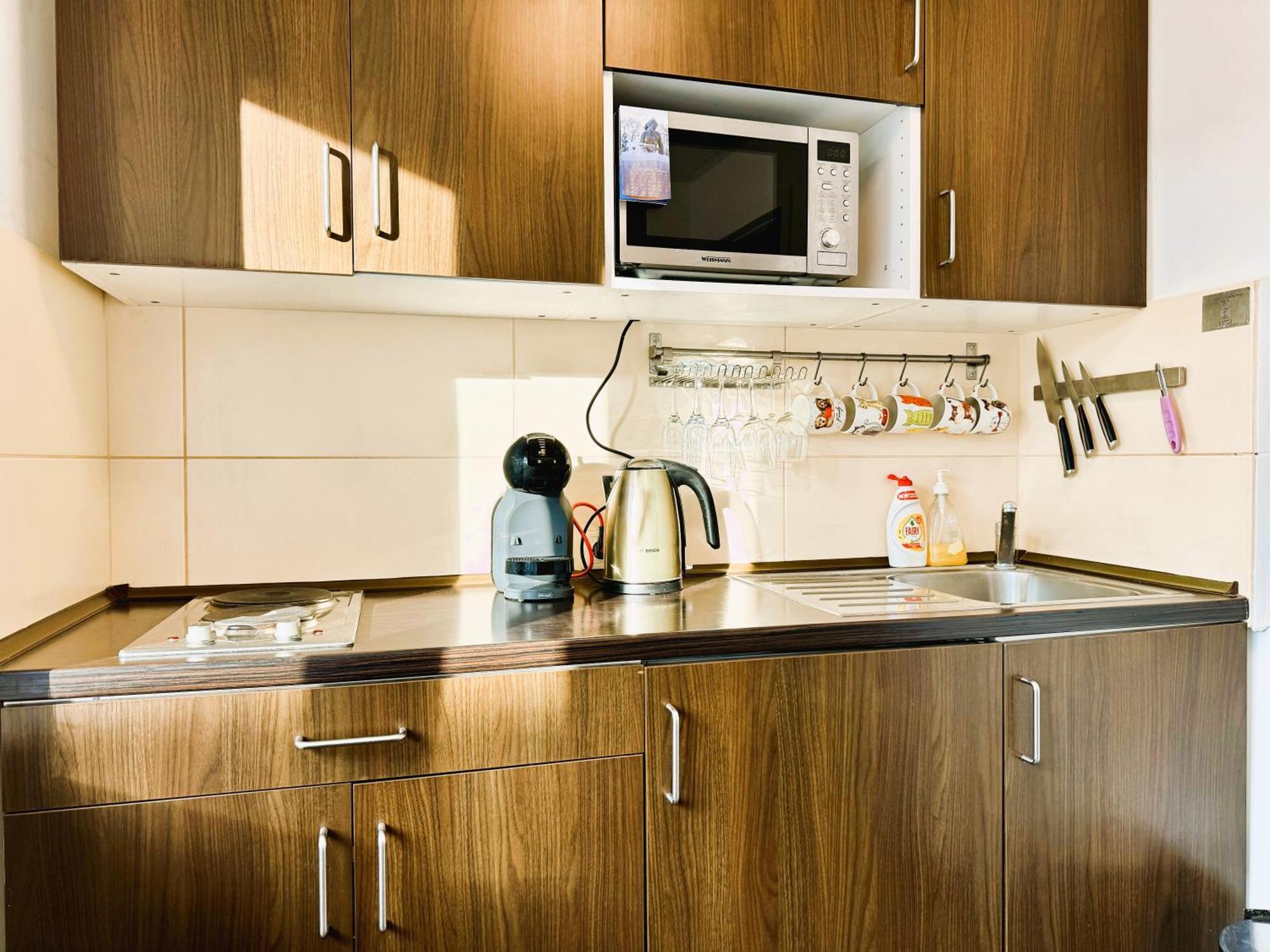Apartment In The City Center Druskininkai Esterno foto